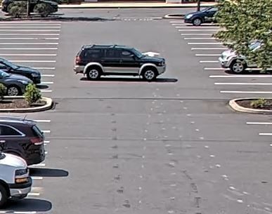 Surveillance of theft at Lowe's in Exeter - car